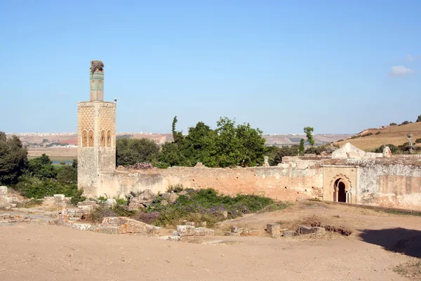 Necrópolis de Cellah, Marruecos —  Fotos de Stock