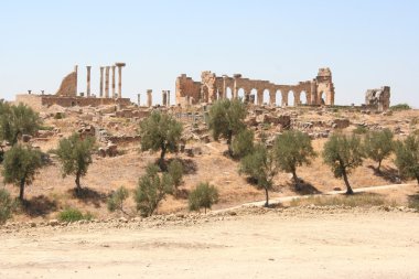 Volubilis roman city ruins clipart