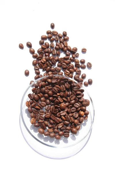 Coffee beans on a glass plate — Stock Photo, Image