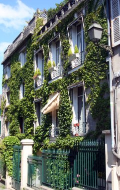 Ivy, mont martre, paris ile ev