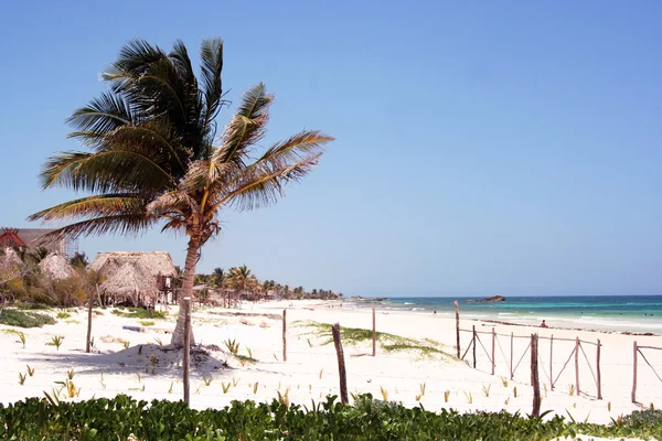 stock image Relax in mexico