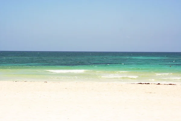 stock image Gulf of mexico landscape