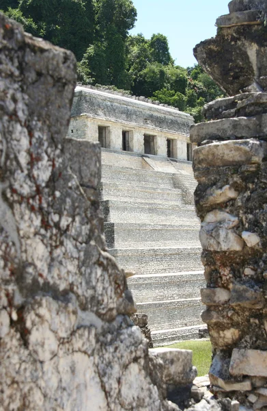Palenque Piramit, Meksika — Stok fotoğraf