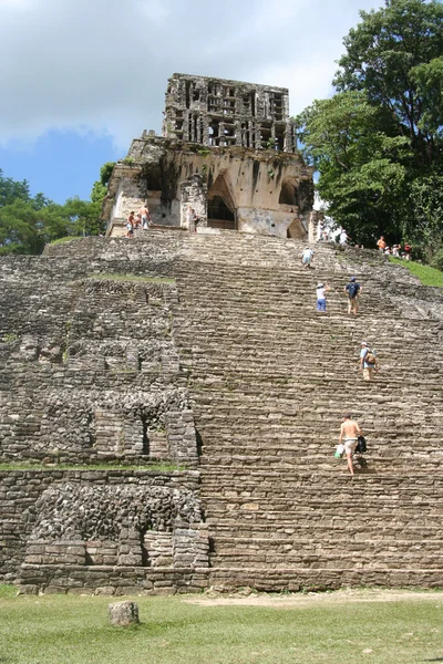 Palenque pyramid, mexico — Stock Photo, Image