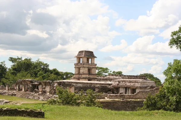 Palenque landscape, mexico — Stock Photo, Image