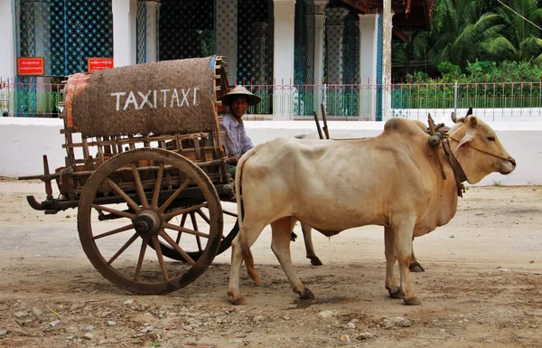 Такси Мьянмы — стоковое фото