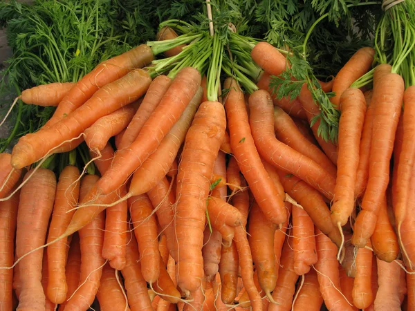 stock image Carrots