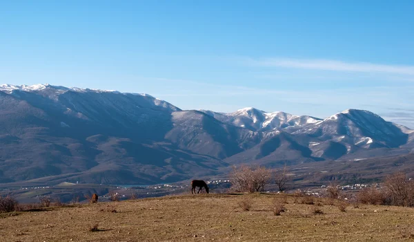 "Hevoset laitumella vuoria vastaan " — kuvapankkivalokuva