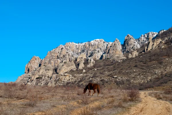 "Rød hest nær en landevej på bunden af bjergene " - Stock-foto