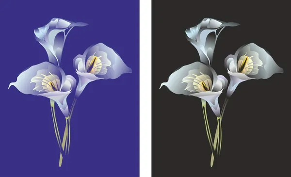 "Three stylized flowers of a calla" — ストックベクタ