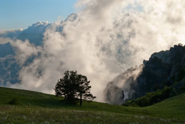 "Silhouette of trees, tops of mountains and a cloud" — Stok fotoğraf