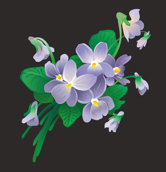"Bouquet of violets" — Stock Vector