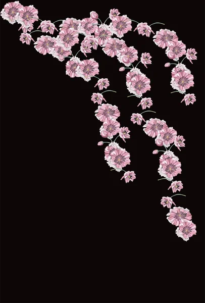 Kwiaty nb czarnym tle — Stockfoto