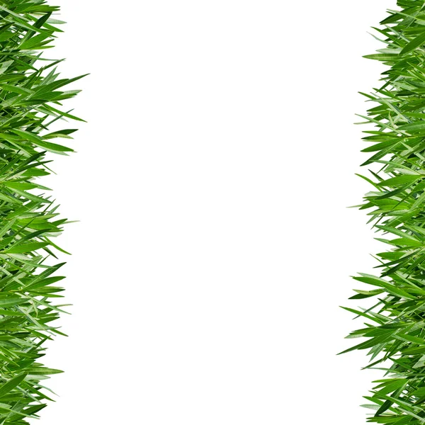 stock image Grass texture