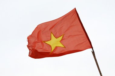 Vietnam bayrağı