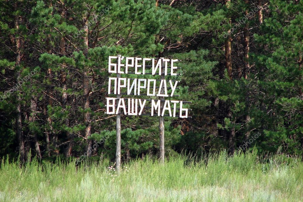 Береги природу картинки прикольные
