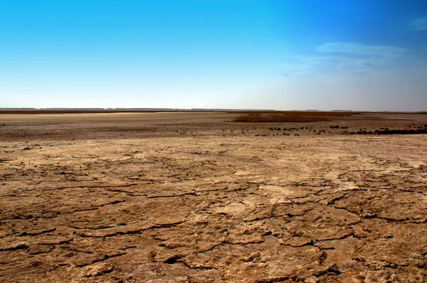 stock image Coast of salty lake with against the blue sky