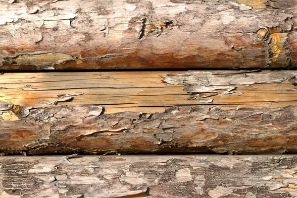 Pannelli di pino — Foto Stock