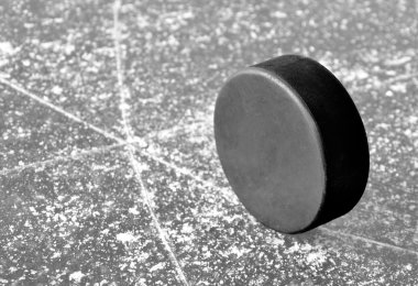 Hokey Puck