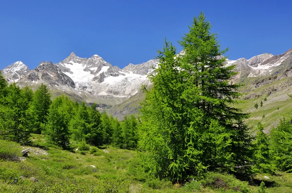 Ober gabelhorn - İsviçre Alpleri — Stok fotoğraf