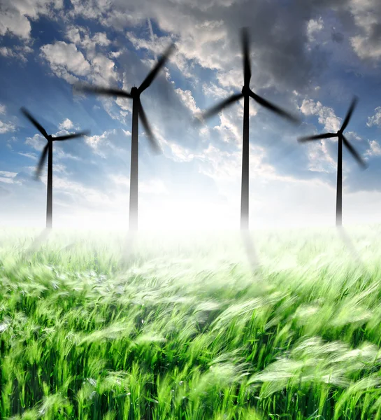 Buğday alanları ile rüzgar türbinleri — Stok fotoğraf