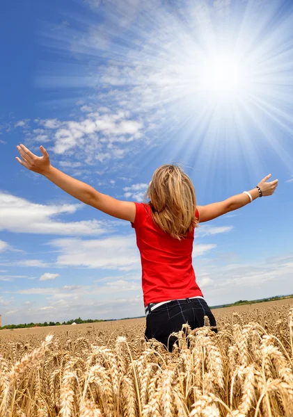 The girl in a wheaten field Stock Image