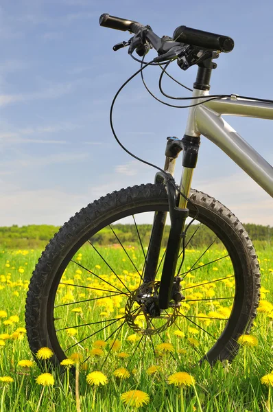 Mountain bikes — Stock Photo, Image