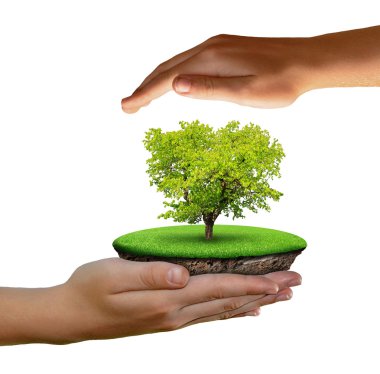 Little island and trees in hands clipart