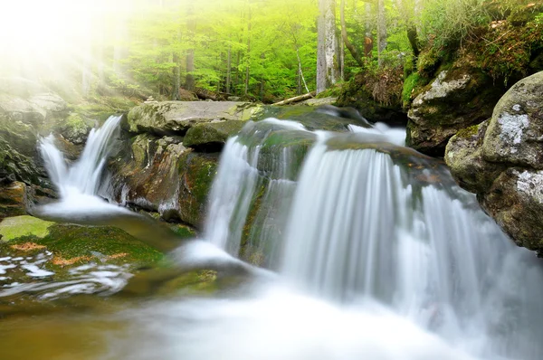 Schöne Wasserfälle — Stockfoto