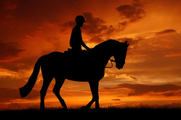 Cavaliere su un cavallo — Foto Stock