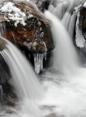 Kış dereye Milli Parkı sumava