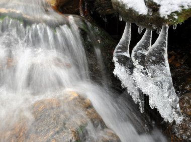 Kış dereye Milli Parkı sumava