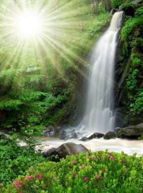 Waterfall in the National Park Tercino valley clipart