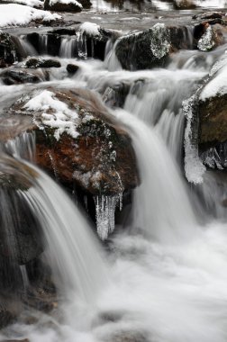 Kış dereye Milli Parkı sumava