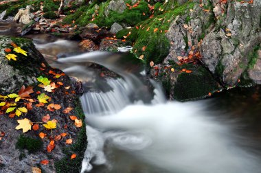 sonbahar creek