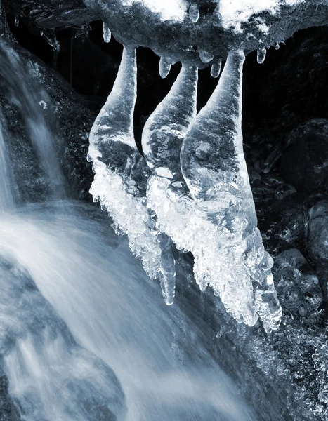 Зимний ручей в национальном парке Сумава — стоковое фото