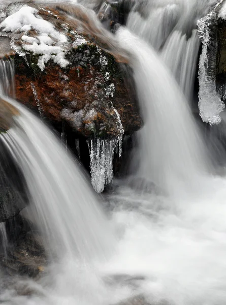 在国家公园舒马瓦山冬溪 — 图库照片