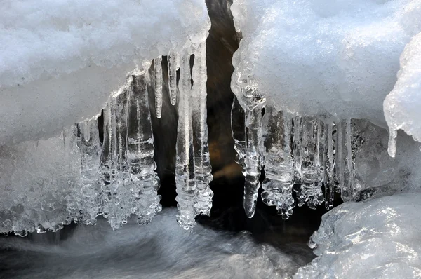 Взимку крик в Національний парк Sumava — стокове фото