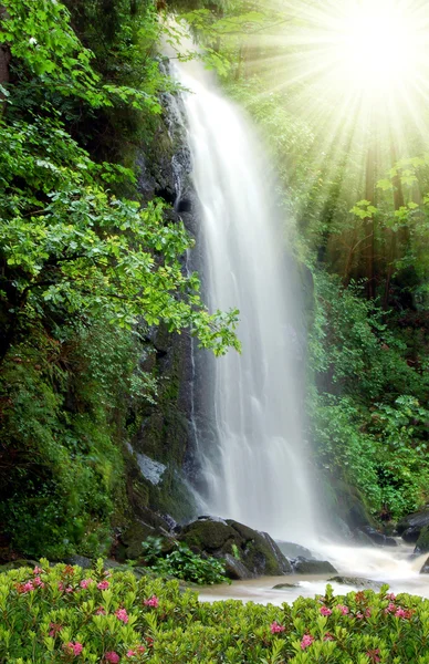 stock image Waterfall in the National Park Tercino valley