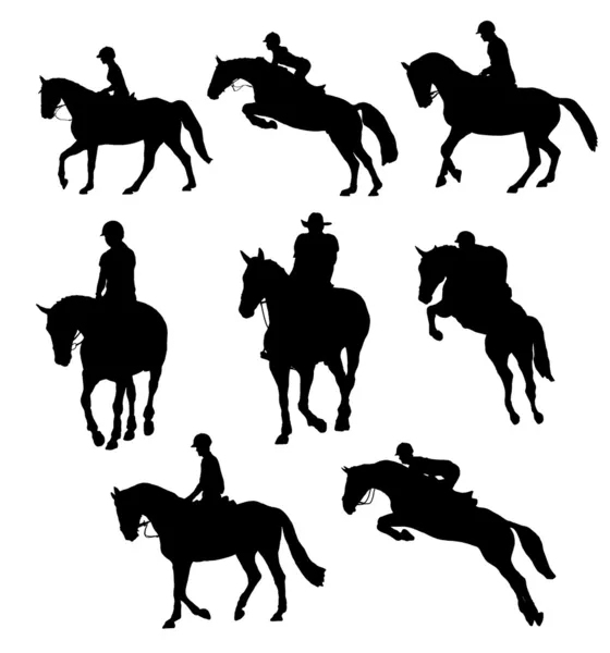 Riding horse — Stock Photo, Image
