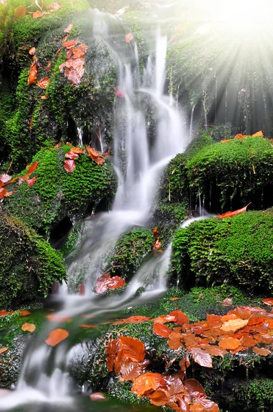Autumn Creek — Stok Foto