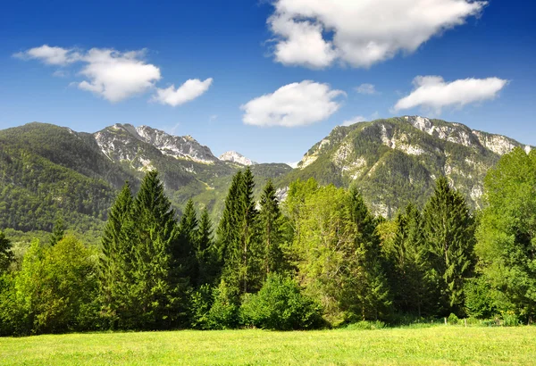 Alpy Julijskie, Słowenia — Zdjęcie stockowe