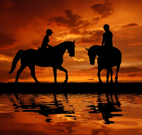 Всадники на лошади — стоковое фото
