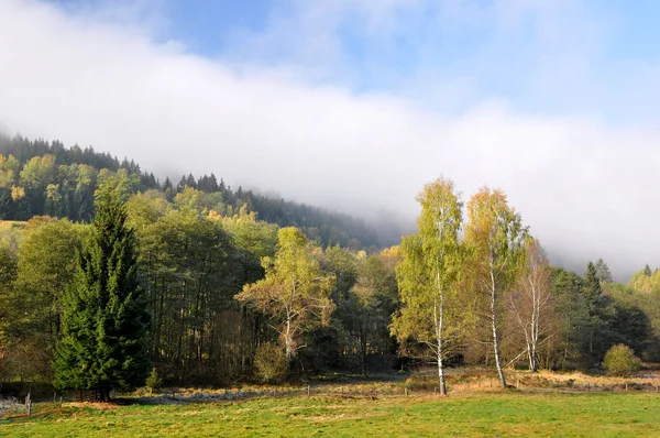 Herfst inversie in nationaal park sumava — Stockfoto