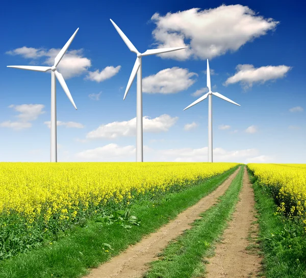 Koolzaad veld met windturbine — Stockfoto