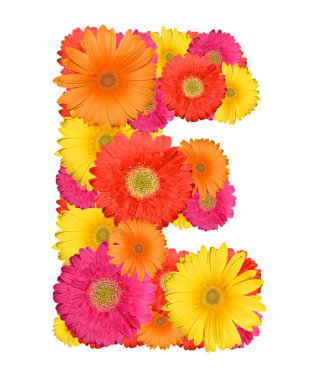 Alphabet of Gerbera clipart