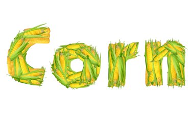 İzole edilmiş mısır