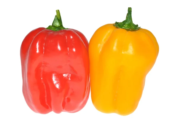 Τσίλι habanero — Φωτογραφία Αρχείου