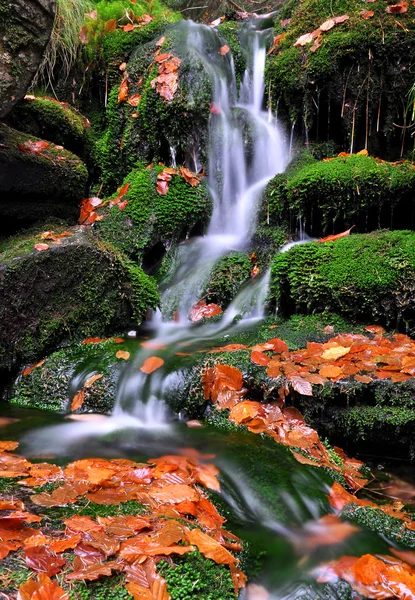Creek en República Checa — Foto de Stock