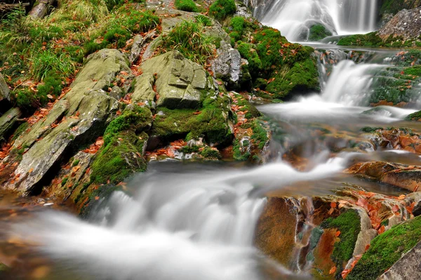 Creek in Repubblica Ceca — Foto Stock